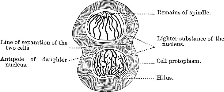 古代插图的最后阶段背景图片