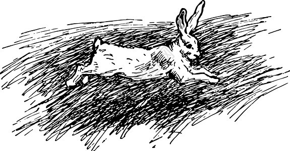 一只兔子 古代插图背景图片