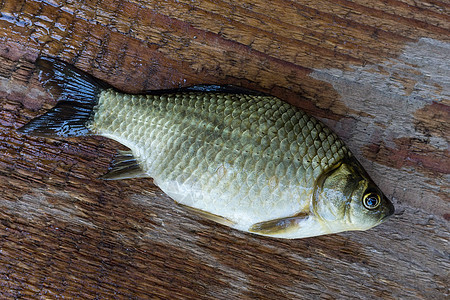 木木背景的鲤鱼营养食物尾巴动物淡水烹饪市场饮食鲫鱼团体图片