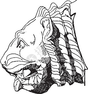 加戈伊狮子头 水管 古代雕刻图片