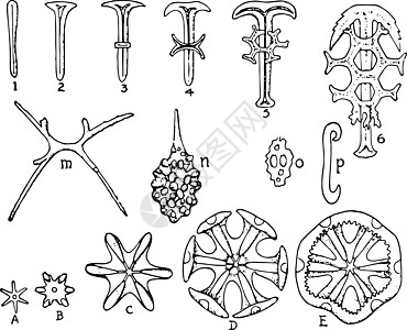 光谱 古代插图图片