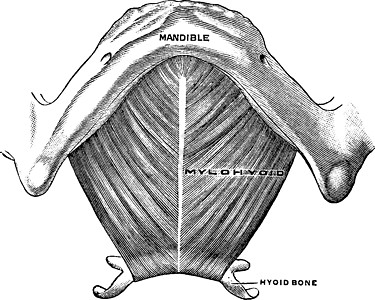 流星体肌肉 古代插图背景图片