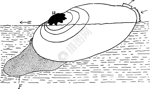 淡水浮雕 古代插图背景图片