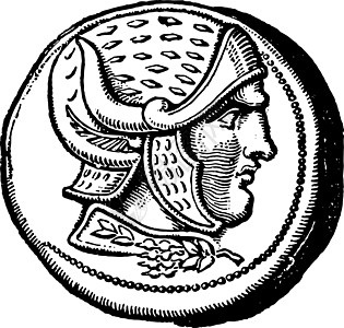 塞勒库斯古典插图的Tetradrachm图片