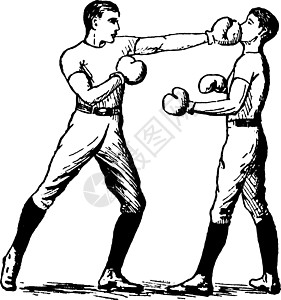 拳击复古插画黑色雕刻插图艺术白色展示攻击技术绘画图片