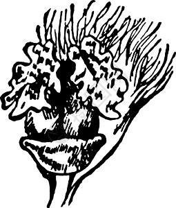Balsam花的陈年插图香脂黑色绘画艺术雕刻白色图片