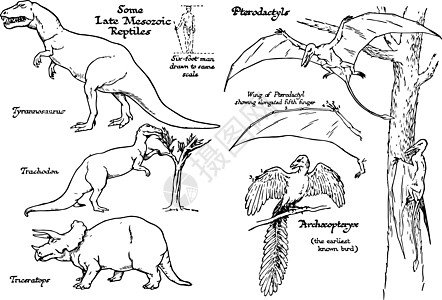 晚期中索索齐克时代的爬虫病 陈年插图图片