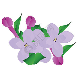 矢量图的紫色和紫丁香花与 gre图片