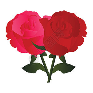 粉红玫瑰和红玫瑰与绿叶的矢量插图图片
