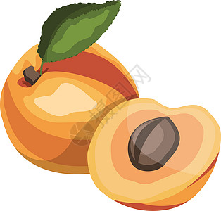 杏与绿叶卡通水果矢量插图 w图片