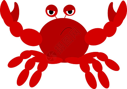 螃蟹矢量彩色插图烹饪野生动物海洋绘画海鲜红色背景图片