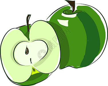 新鲜绿色苹果 矢量或颜色插图背景图片