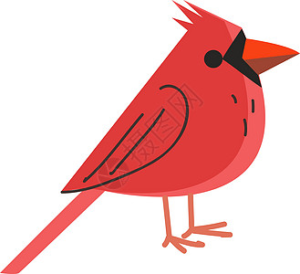 红鸟 矢量或彩色插图图片