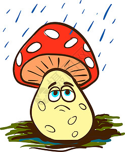 雨中蘑菇 向量或彩色插图图片