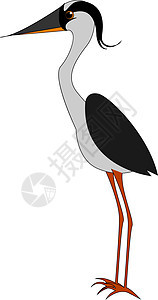 白色背景上长腿的灰鸟图片