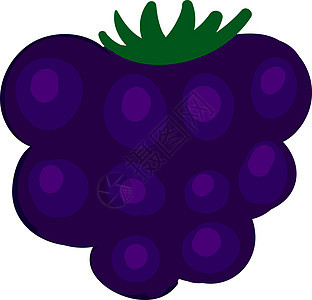 美味黑莓 插图 白色背景的矢量图片