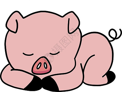 白色背景上的可爱睡猪插画矢量图片