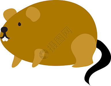 白色背景上的棕色胖老鼠插画矢量图片