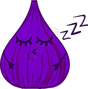 紫色沉睡无花果 插图 白底矢量图片