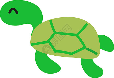 睡着可爱的海龟 插图 白色背景的矢量图片