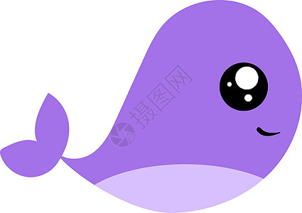 白色背景的切紫色鲸鱼 插图 矢量背景图片