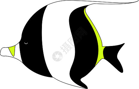 白色背景的摩尔神像鱼 插图 矢量图片