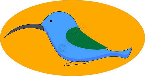 白色背景上的蓝色蜂鸟插画矢量插图飞行野生动物情调艺术热带羽毛动物绘画异国图片