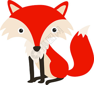 红狐狸 插图 白背景的矢量野生动物绘画森林艺术毛皮婴儿吉祥物荒野哺乳动物橙子图片