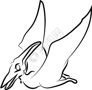 Pteranodon 绘图 插图 白色背景的矢量图片