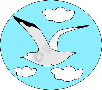 海鸥在天空中飞翔 插图 白色背形的矢量图片