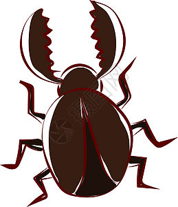 棕色甲虫虫 插图 白色背景的矢量图片