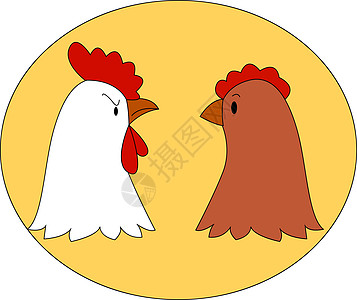 白色背景上的鸡食物鸟类小鸡母鸡收藏动物家禽羽毛卡片农业图片