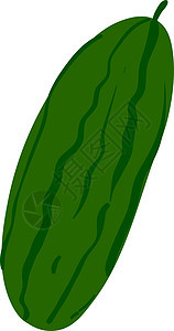 白色背景上的新鲜黄瓜插画矢量蔬菜沙拉厨房饮食草图绘画花园农业艺术洋葱图片