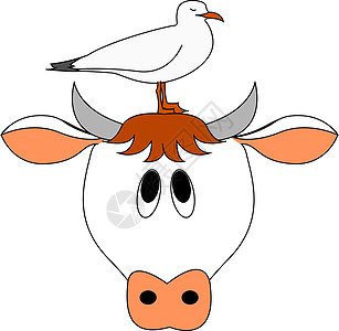 白色背景上的牛和鸟插图矢量图片