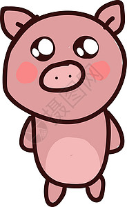 可爱的小猪 插图 白背景的矢量农场圆圈绘画鼻子艺术白色耳朵卡通片食物哺乳动物图片