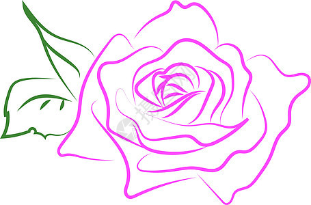 粉红玫瑰绘画 插图 白背景的矢量图片