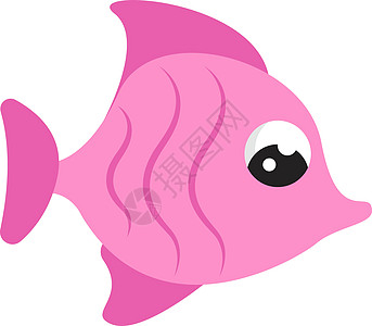 粉红可爱鱼 插图 白底矢量图片