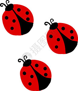 Ladybugs 插图 白色背景的矢量图片