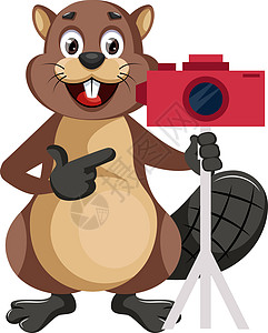 海狸与在白色背景上电影乐趣荒野技术卡通片牙齿照片动物森林快乐图片