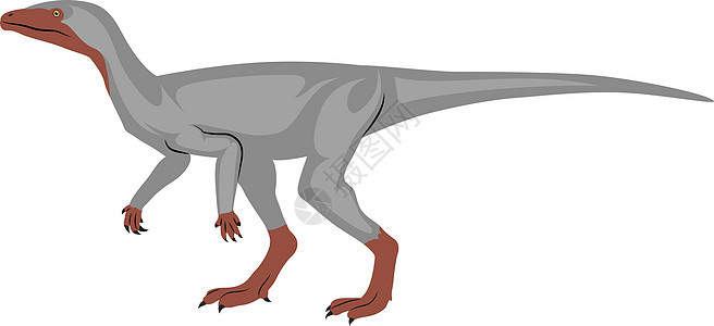 Eoraptor 插图 白色背景的矢量图片