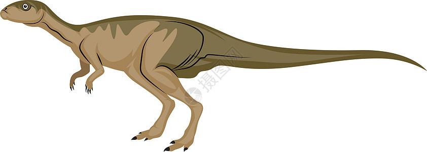 Dinosour 长尾 插图 白后角的矢量背景图片