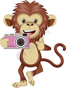带相机的猴子 插图 白色背景的矢量背景图片