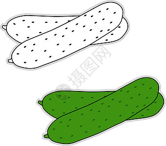 白色背景上的新鲜黄瓜插画矢量叶子胡椒茄子植物饮食食物蔬菜洋葱绿色图片