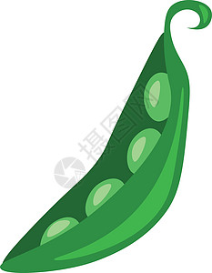 剥皮绿色豆类传粉矢量或彩色插图图片