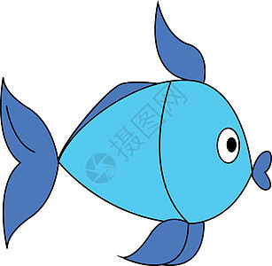 白色背景的蓝色和浅蓝色鱼类矢量图示图片