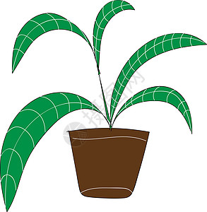 棕色花盆中长绿色叶子的棕榈植物病图片
