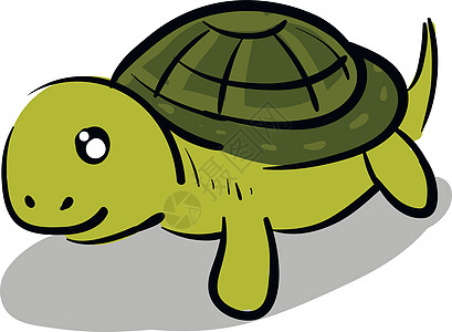 快乐乌龟 有可爱的面容图解白彩色矢量图片