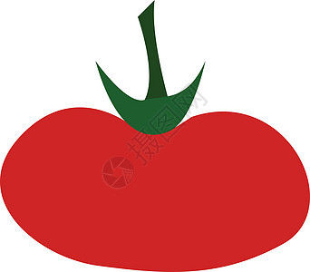 鲜番茄矢量或彩色插图背景图片
