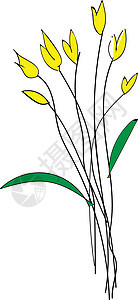白色背面灰色的黄色春花草样 基本 RGB 矢量图片