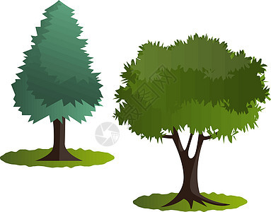 白色背景上的几棵绿树矢量图生活行星生物地球叶子环保树叶植物森林插图图片
